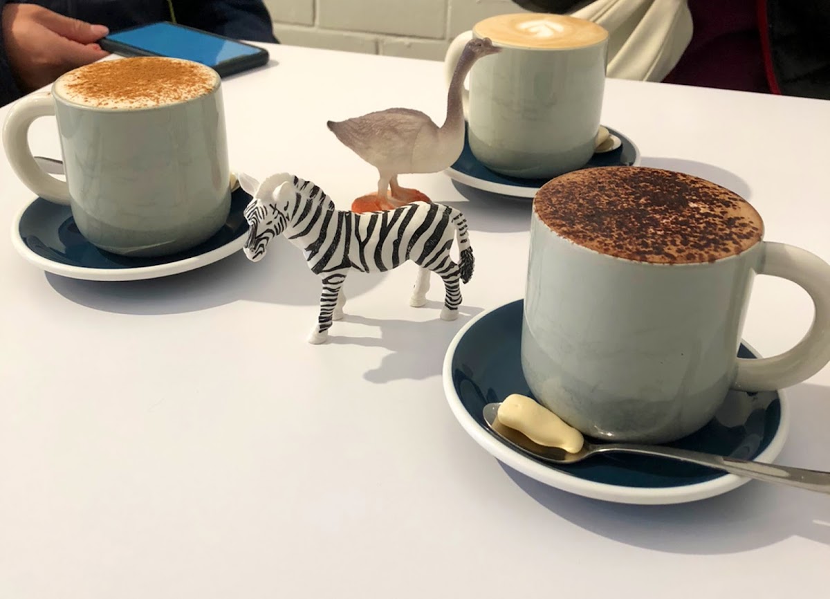 Three cappuccinos with playful animal figurines